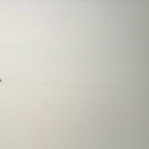 Meet your Posher, Samuel